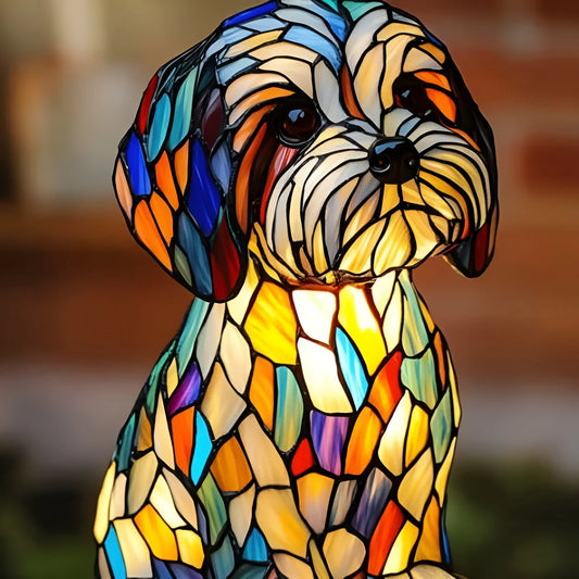 Mimoso — Magia canina multicolor